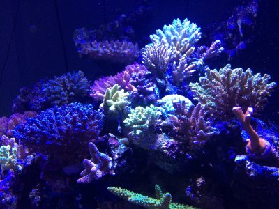 photo-2.JPG