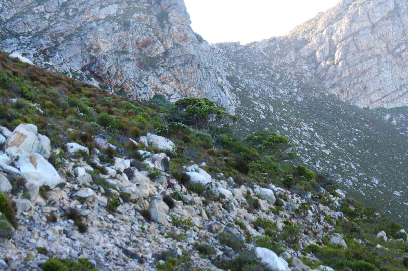 Western Cape - Hottentot Holland mountains