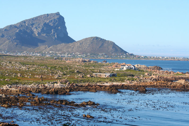 Rooi Els - Western Cape
