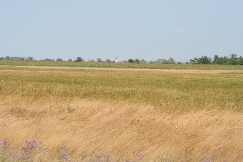 Puszta - Hungary, Kiskunsag N.P.