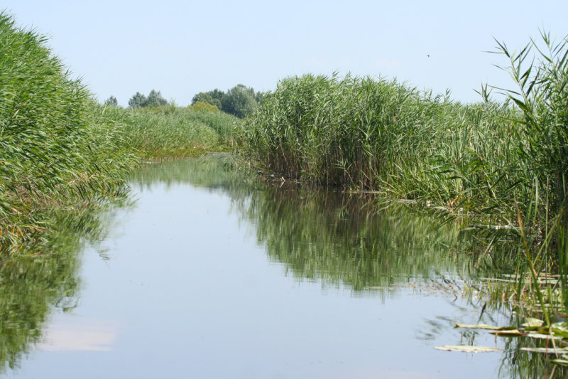 Lake Kolon, Kiskunsag N.P.