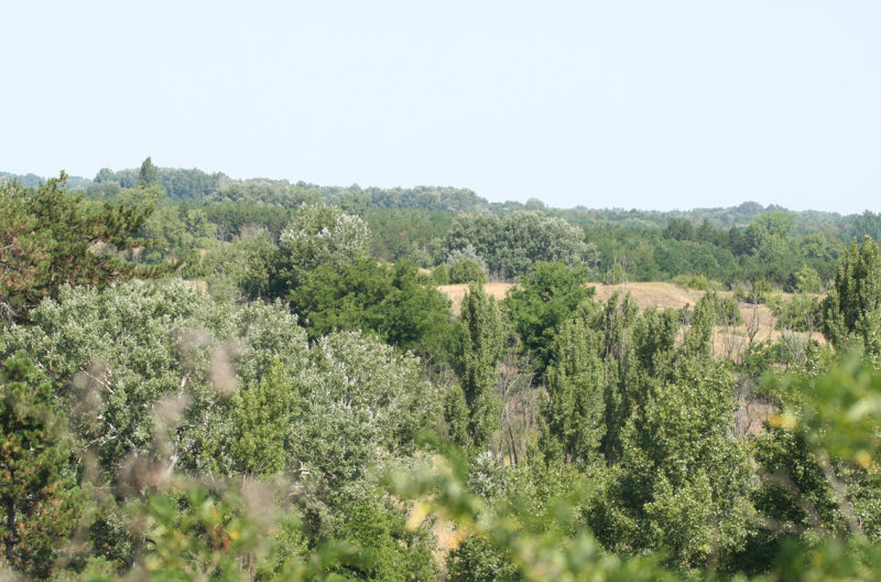Kiskunsag N.P.
