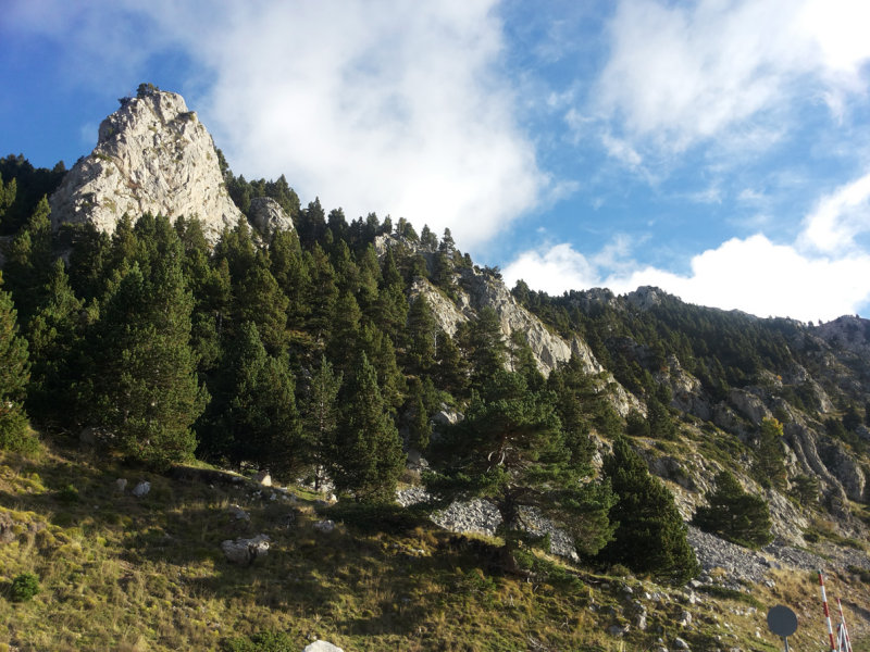 Parc Natural del Cadí-Moixeró, Pyrenees - Catalunya