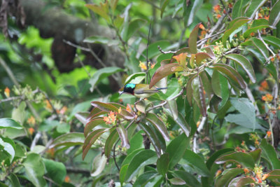 g9/24/1048224/3/159686695.elgeybbp.jpg