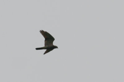 g9/24/1048224/3/159844672.Ssbms2oN.jpg