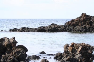 Punta Spalmatore - Ustica Island Marine reserve