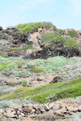 Punta Spalmatore - Ustica Island