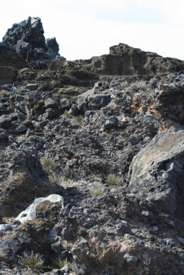 Punta Spalmatore - Ustica Island Marine reserve