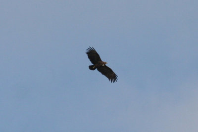 g9/24/1048224/3/164866159.RFJYEeak.jpg