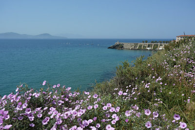 Toscane (Italy)