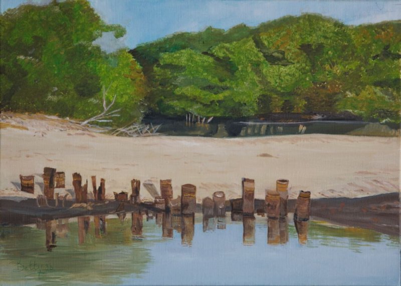 Kotu Creek Gambia