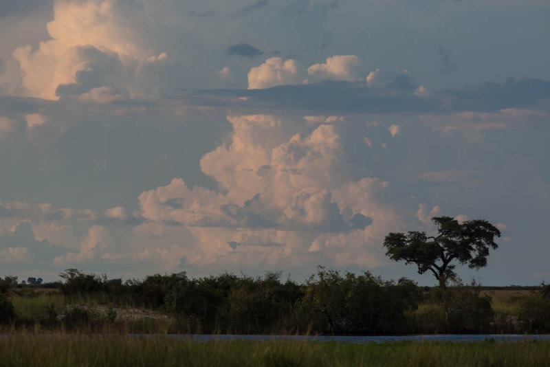 Chobe,Botswana