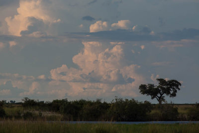 Chobe,Botswana