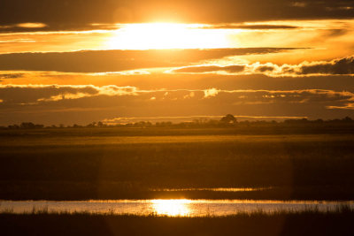 Ondergaande zon, Chobe