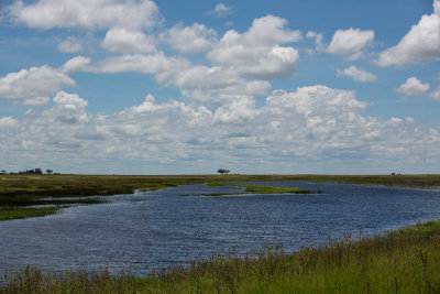 Chobe River
