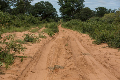 route Chobe