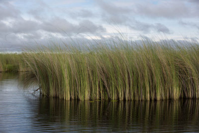 Okavanga Delta