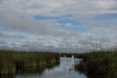 Okavanga Delta