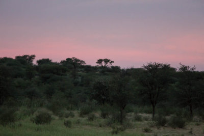Kgalagadi, Botswana, Zonsondergang