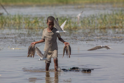 Hawassa, meer en vismarkt