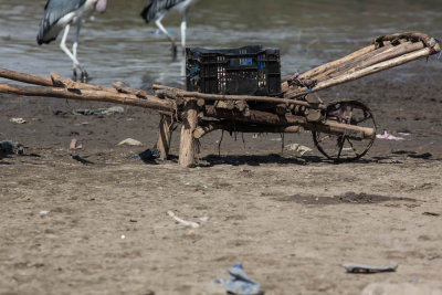 Hawassa, meer en vismarkt