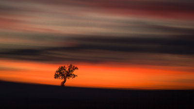 Last Light.jpg
