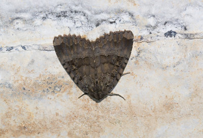 g9/24/1170224/3/163938643.LFl91QOa.jpg