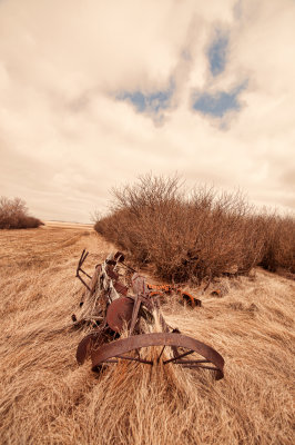 Rustic and discarded