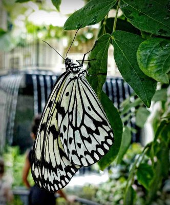 g9/24/1183324/3/159950692.DALtOnu2.jpg