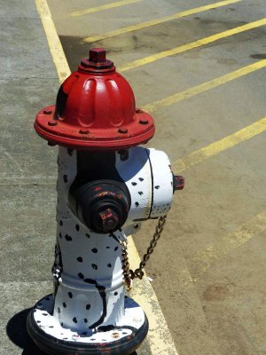 Even the fire hydrants are art