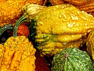 Squash