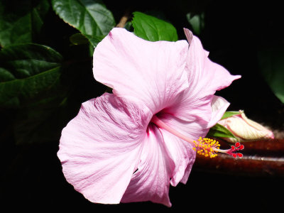g9/24/1183324/3/160066200.XSS4gIGW.jpg