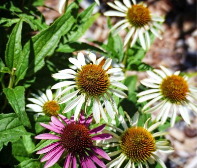 g9/24/1183324/3/161155261.6NQg3jTr.jpg