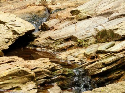 g9/24/1183324/3/161195078.wV94Tag1.jpg