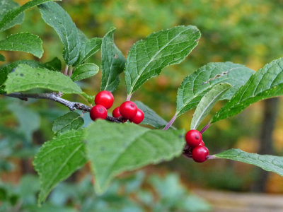 g9/24/1183324/3/161644061.aZMP0q7G.jpg