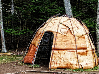Wild Gardens of Acadia