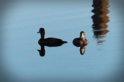 g9/24/1183324/3/162854361.DpqSKEEC.jpg