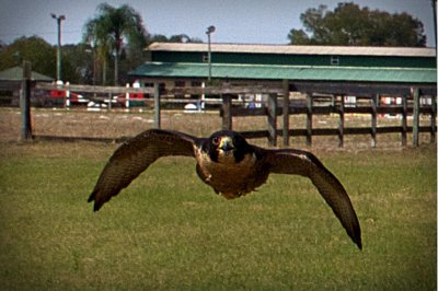 g9/24/1183324/3/162854416.ncv06HIR.jpg