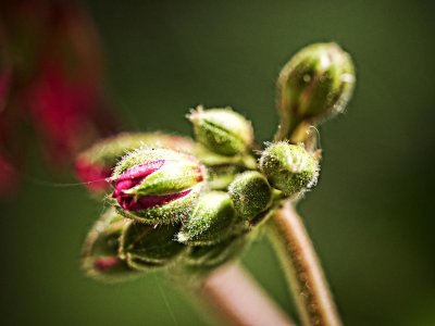 g9/24/1183324/3/163111280.IBbKuCpg.jpg