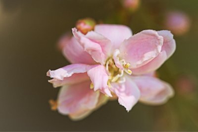g9/24/1183324/3/163111290.95lZpAo0.jpg