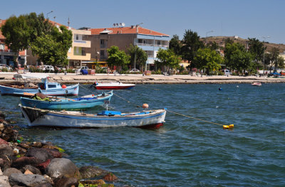 DSC_0274.jpg