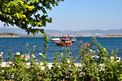 DSC_0094.jpg