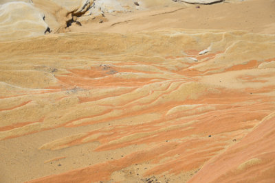 DSC_3691.jpg