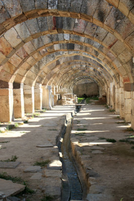 IMG_8816.jpg