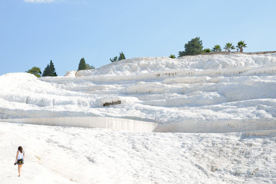 DSC_0456.jpg