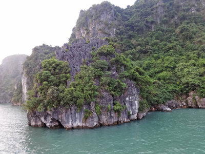 Island in Ha Long Bay, Vietnamg