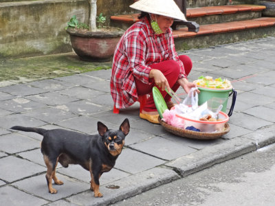 A woman cooking food on the street - and her dog - Old Town, Hoi An, Vietnam