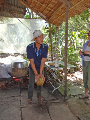 Splitting a coconut - preparation for making coconut candy - on an island near My Tho in the Mekong Delta, Vietnam