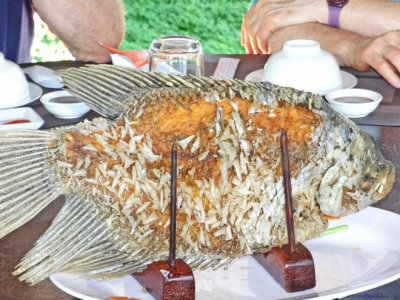 A whole grilled elephant fish - part of our lunch - on an island near My Tho, Mekong Delta, Vietnam