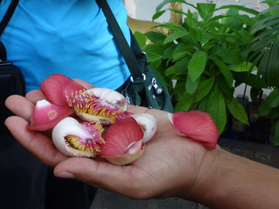 Lychee - a fruit with an edible, whitish pulp around a single large seed. Lychee has a floral smell & a sweet flavor.